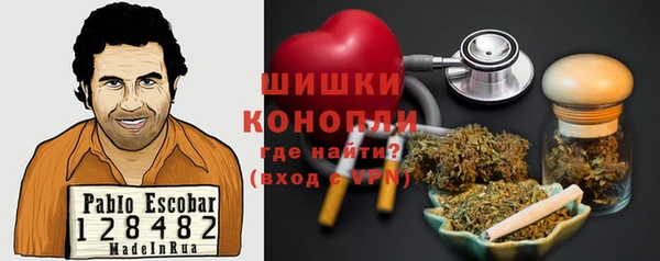 гашик Вязьма