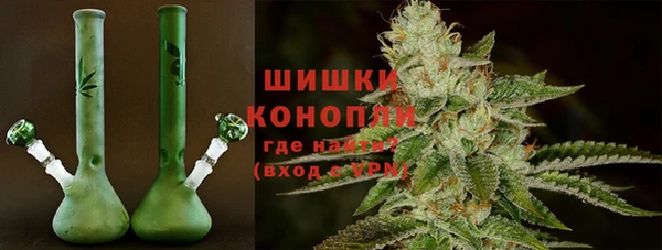 соль ск Алзамай