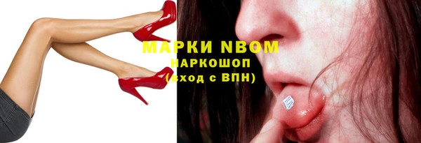 гидра Абаза