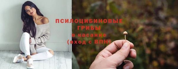 гидра Абаза
