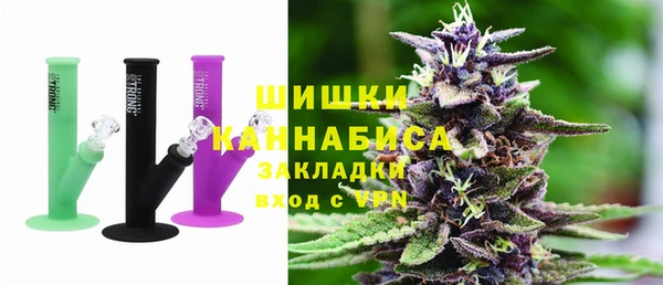 гидра Абаза